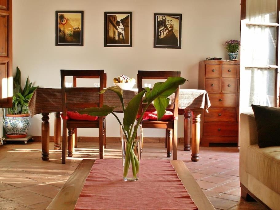Apartamento Oasis Granada Exterior foto